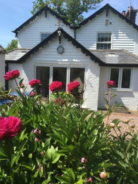 Wilmington  Wishing Well Cottage מראה חיצוני תמונה